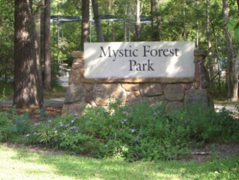 One of many parks in The Woodlands